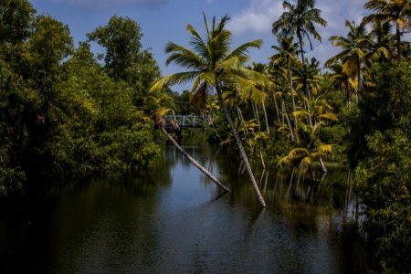 Waterway, Reflection, Vegetation, Water
