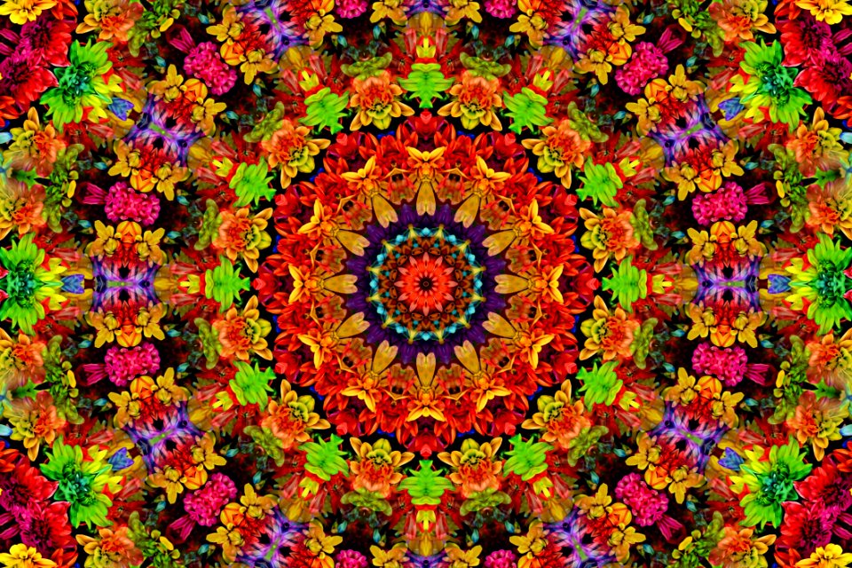 Kaleidoscope, Pattern, Flower, Symmetry photo
