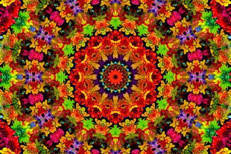 Kaleidoscope, Pattern, Flower, Symmetry