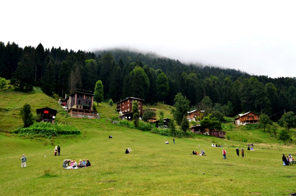 Grassland, Pasture, Mountainous Landforms, Hill Station
