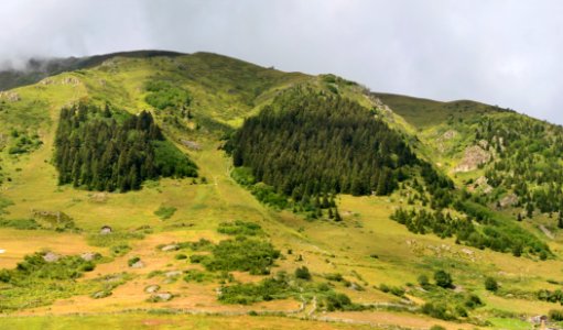 Highland, Mountainous Landforms, Hill, Vegetation