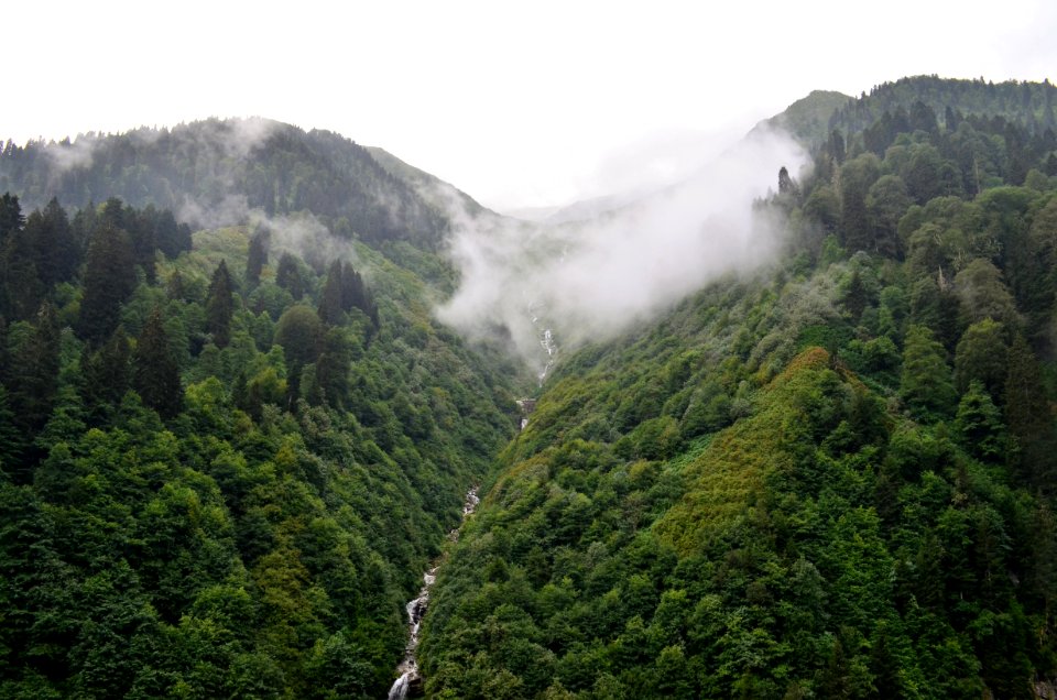 Vegetation, Hill Station, Nature Reserve, Highland