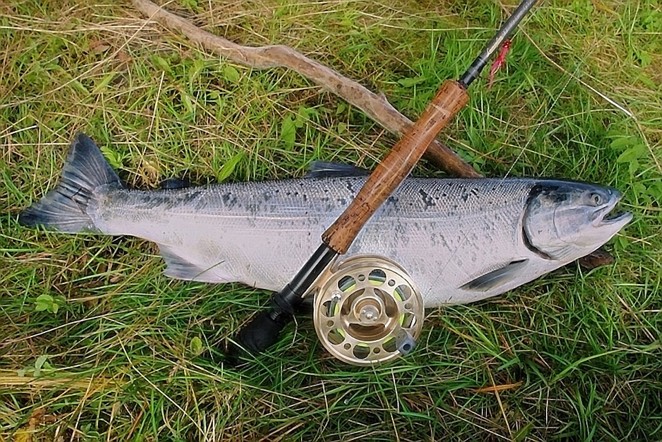 Alaska fishing fish