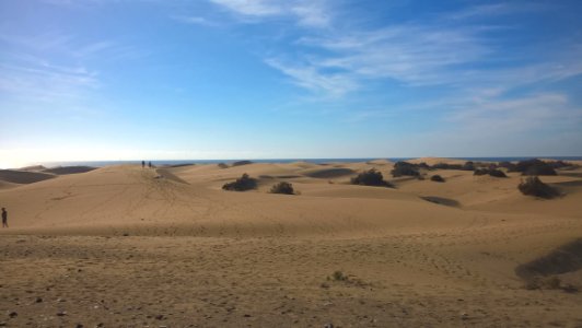 Desert, Aeolian Landform, Erg, Ecosystem photo