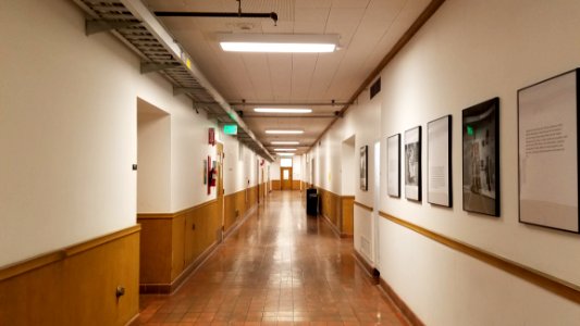 Floor, Hall, Flooring, Daylighting photo