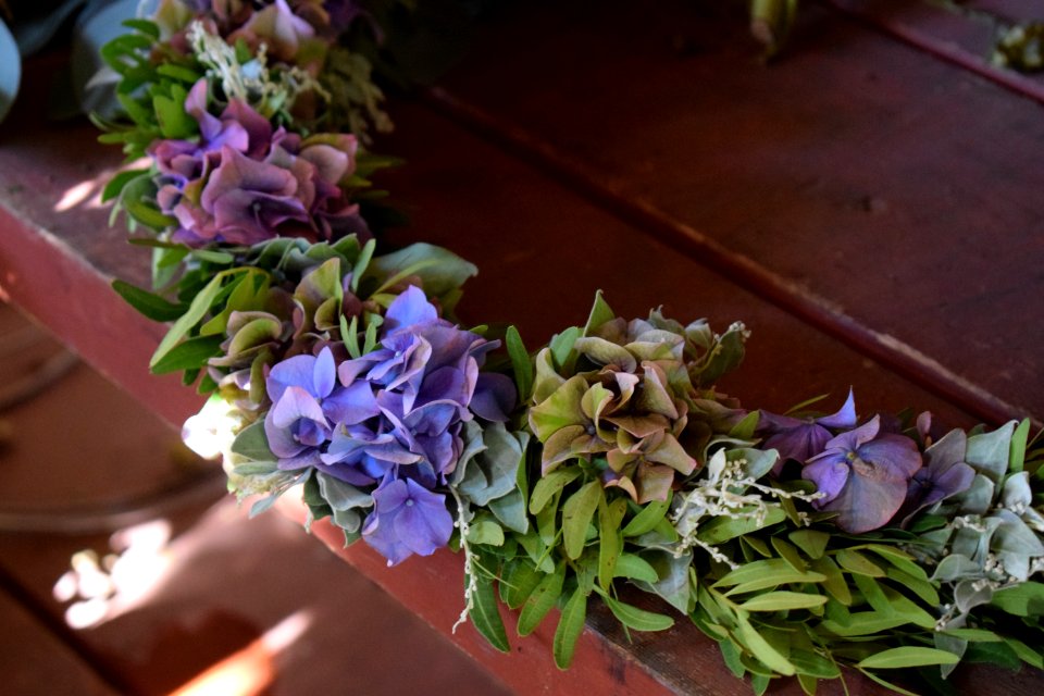Flower, Plant, Floristry, Purple