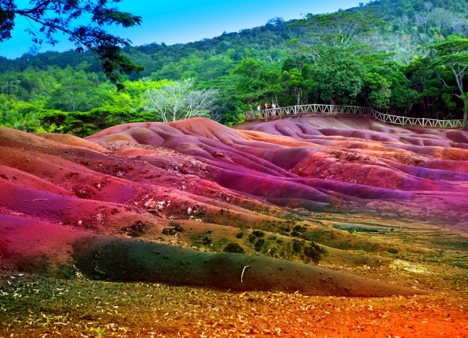 Nature, Vegetation, Ecosystem, Nature Reserve