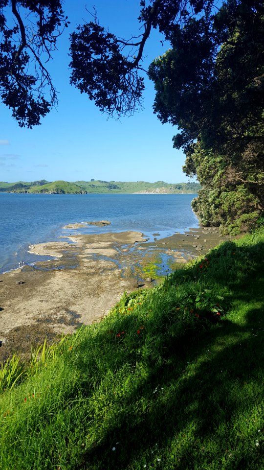 Nature, Coast, Water, Shore