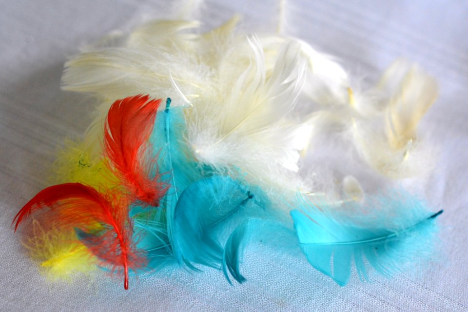 Feather, Petal, Material