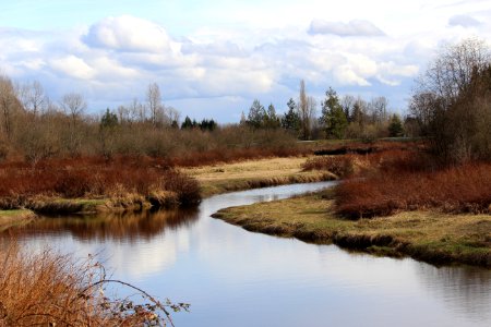 Wetland, Water, Reflection, Nature Reserve