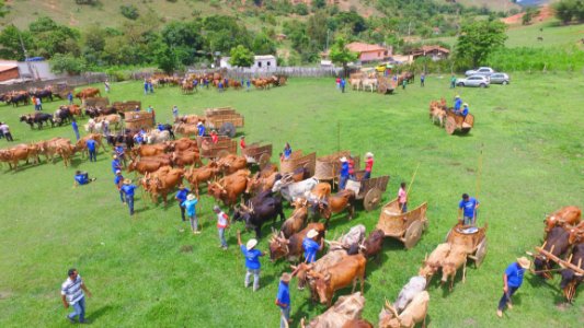 Pasture, Grass, Rural Area, Grassland
