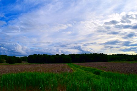 Sky, Grassland, Field, Cloud photo