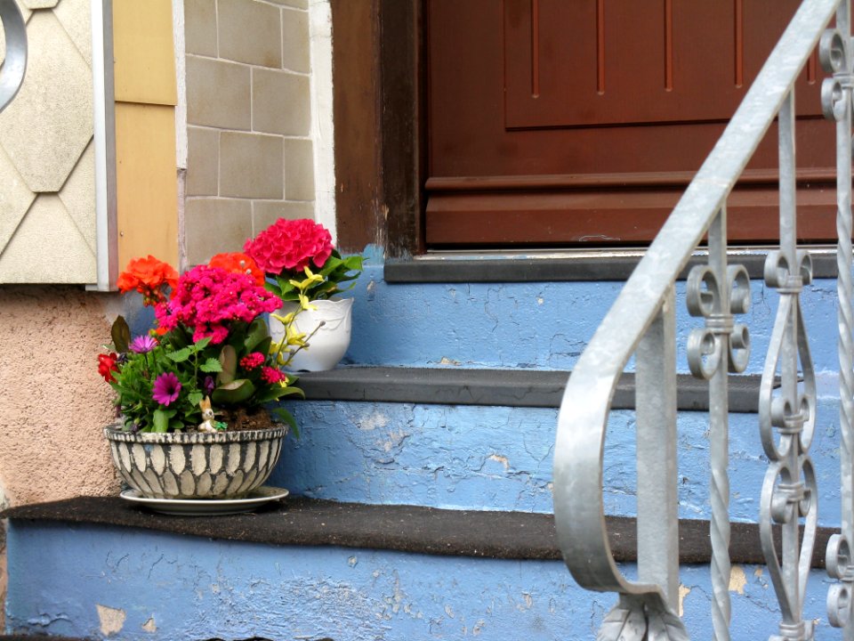 Window, Handrail, Flower, House