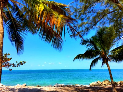 Tropics, Caribbean, Sky, Sea