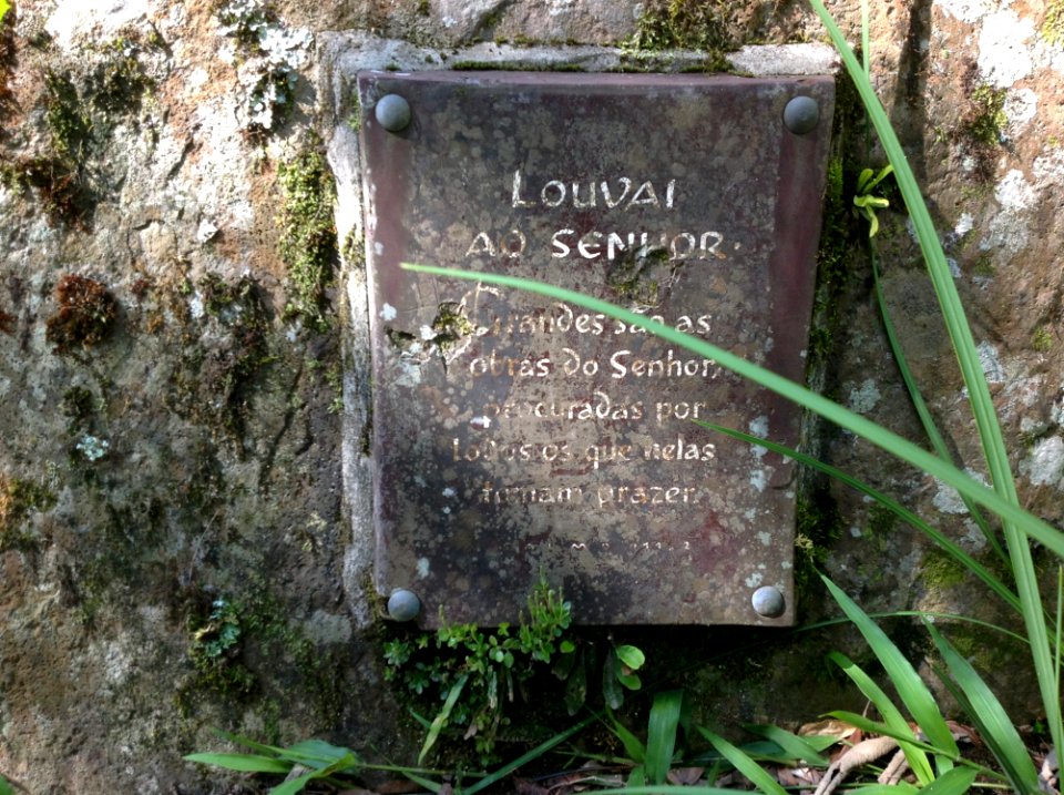 Nature Reserve, Grave, Grass, Headstone