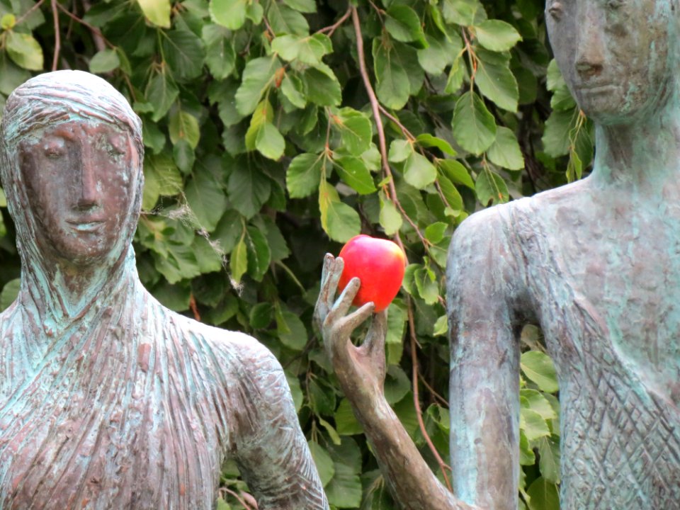 Tree, Plant, Sculpture