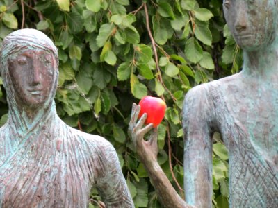 Tree, Plant, Sculpture