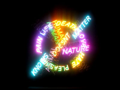 Light, Neon, Neon Sign, Event photo