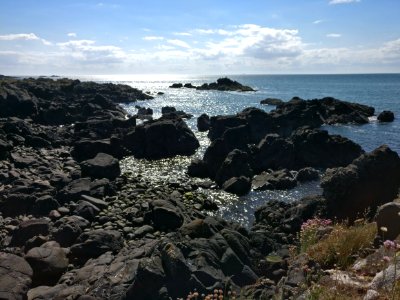 Coast, Sea, Rock, Headland