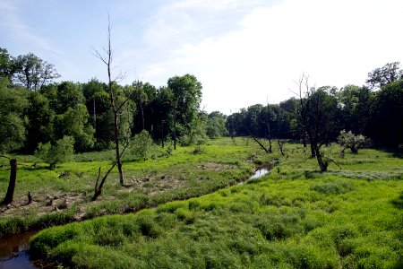 Vegetation, Nature Reserve, Wetland, Ecosystem photo