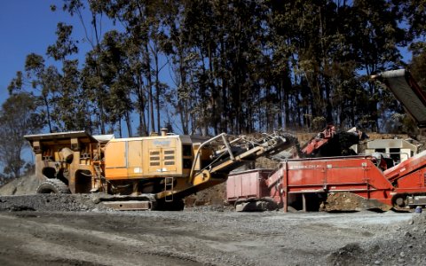 Transport, Demolition, Tree, Asphalt