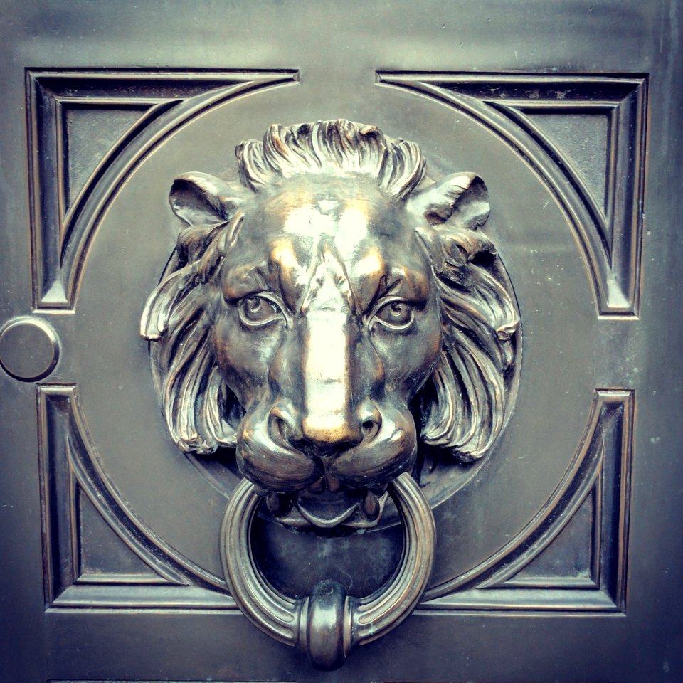Mammal, Head, Lion, Relief