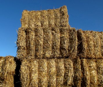 Hay, Straw, Agriculture, Field