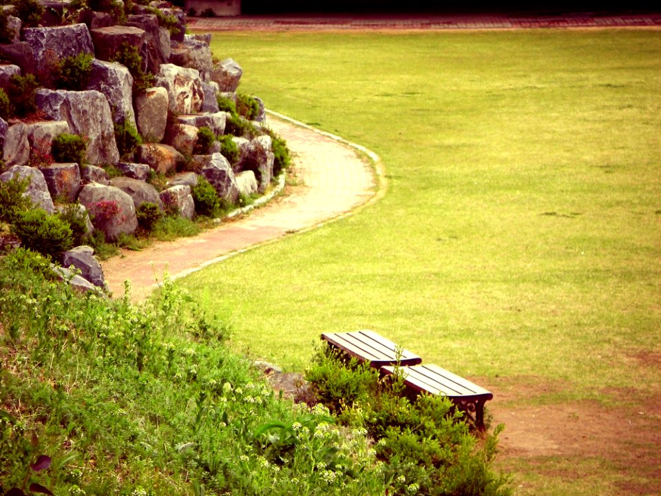 Grass, Lawn, Field, Landscape