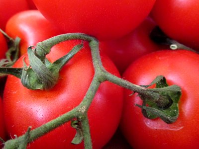 Natural Foods, Vegetable, Tomato, Plum Tomato photo