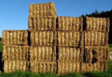 Hay, Straw, Grass, Field