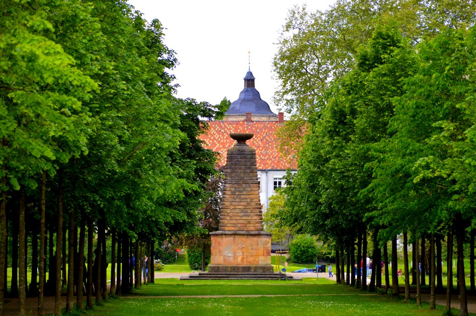 Nature, Tree, Landmark, Leaf