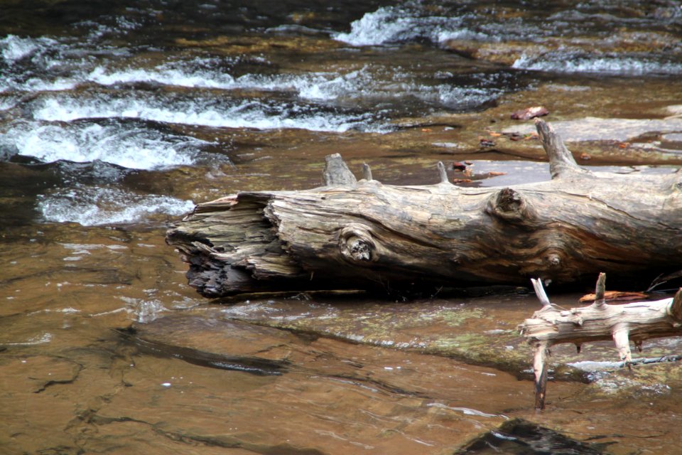 Water, Wood, River, Driftwood