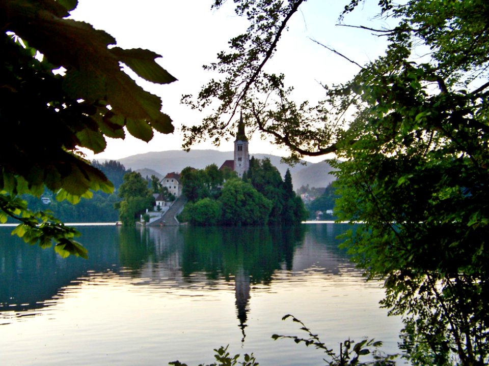 Reflection, Water, Nature, Green