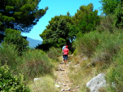 Path, Wilderness, Ridge, Mountain Bike