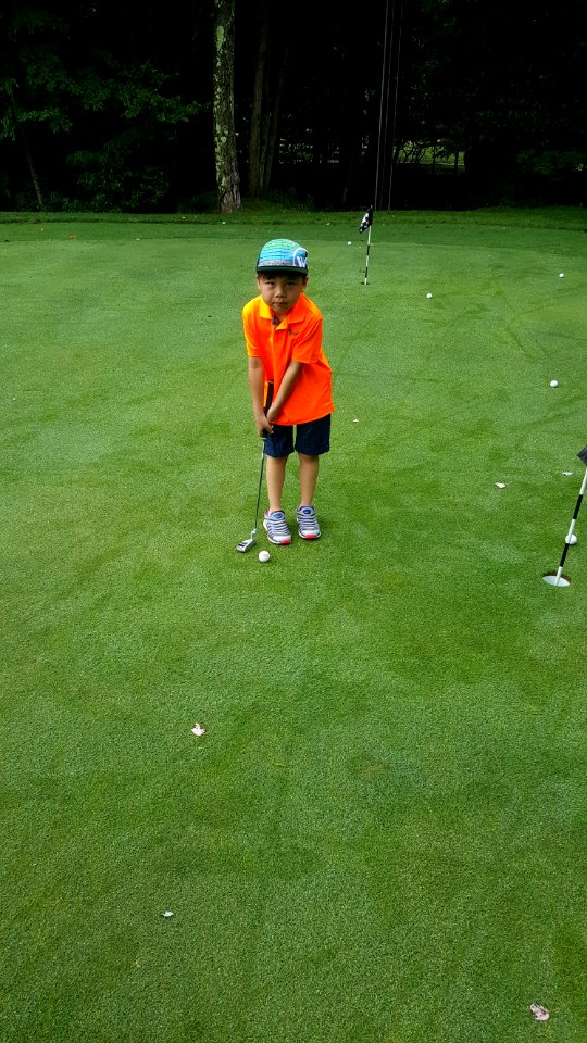 Green, Golf, Grass, Plant
