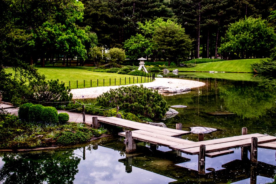 Reflection, Water, Garden, Nature