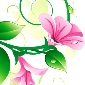 Flower, Green, Flowering Plant, Pink
