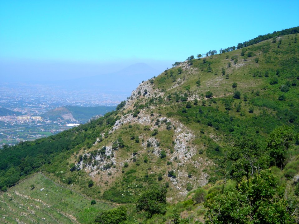 Ridge, Mountainous Landforms, Vegetation, Mountain