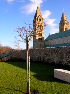 Spire, Steeple, Tree, Sky photo