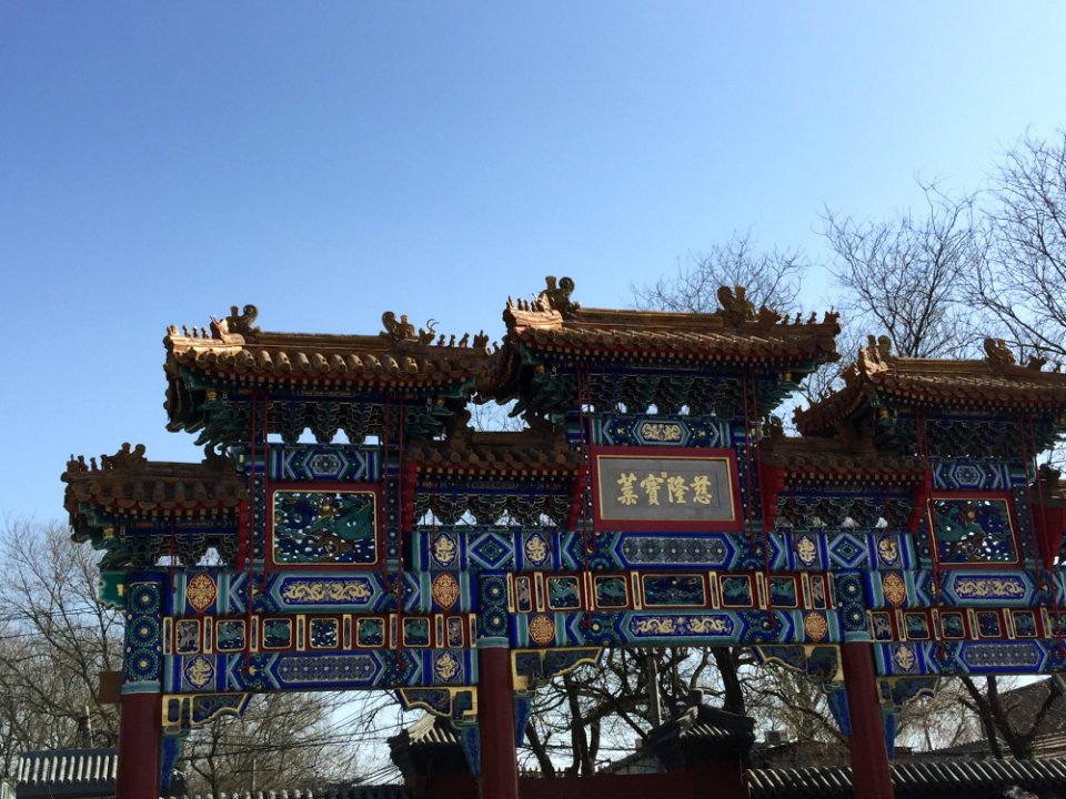 Chinese Architecture, Landmark, Tourist Attraction, Tree