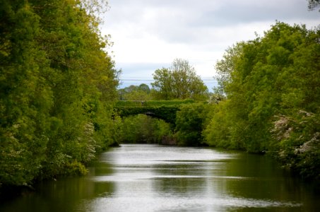 Waterway, Water, River, Nature