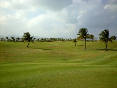 Golf Course, Golf Club, Grassland, Grass