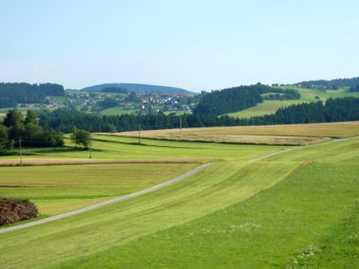 Grassland, Plain, Field, Pasture photo