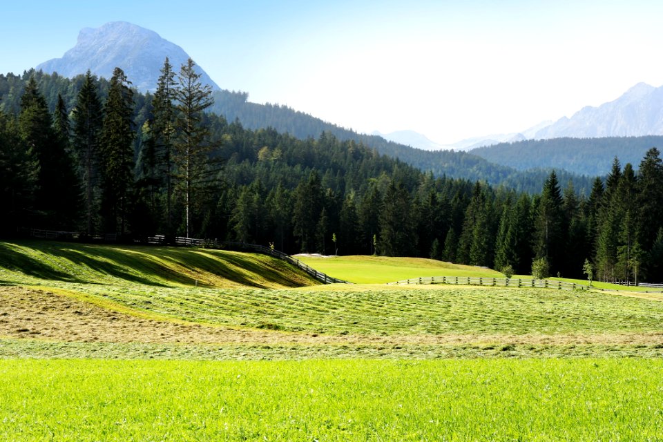Grassland, Nature, Field, Pasture