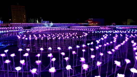 Purple, Structure, Sport Venue, Light photo