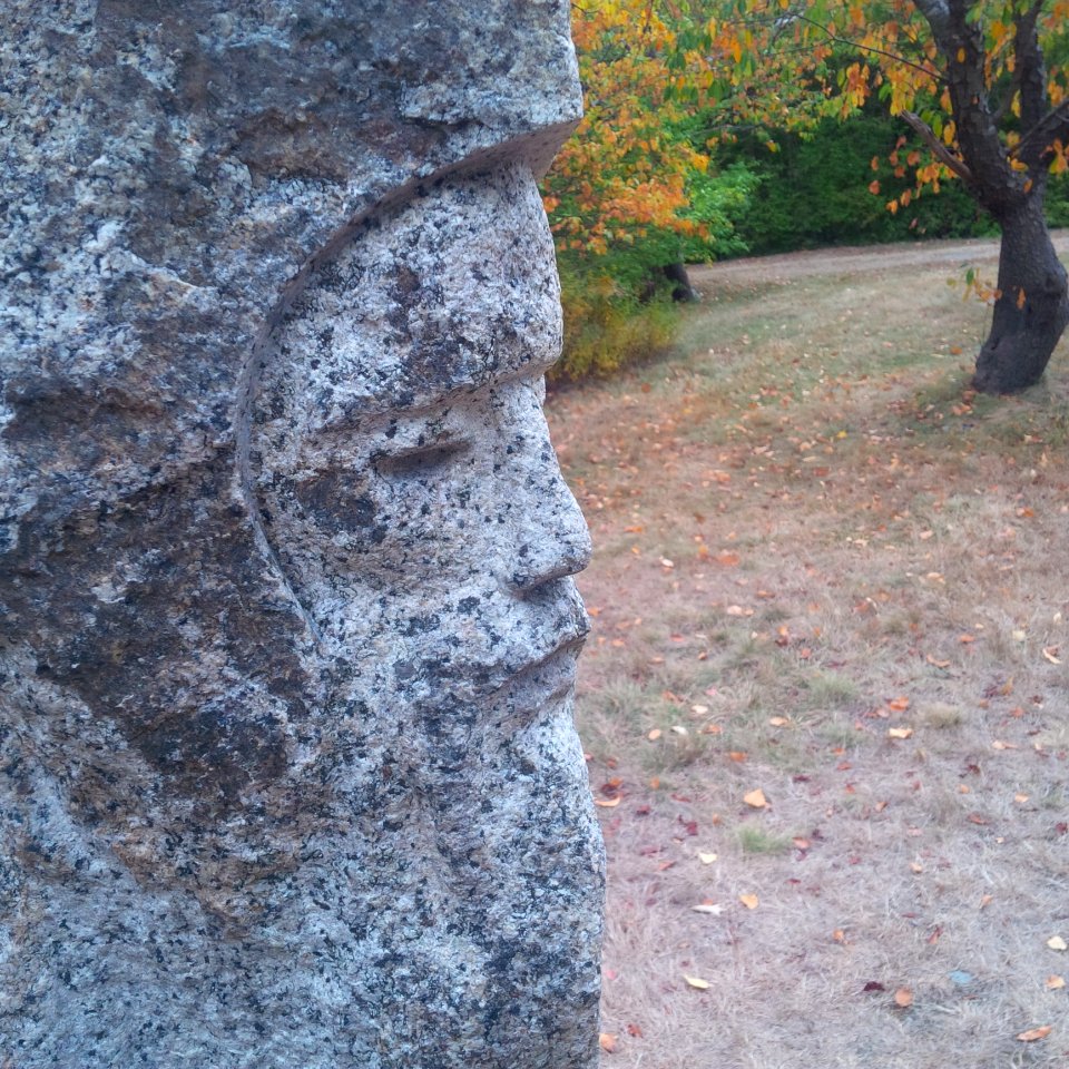 Rock, Wall, Tree, Bedrock