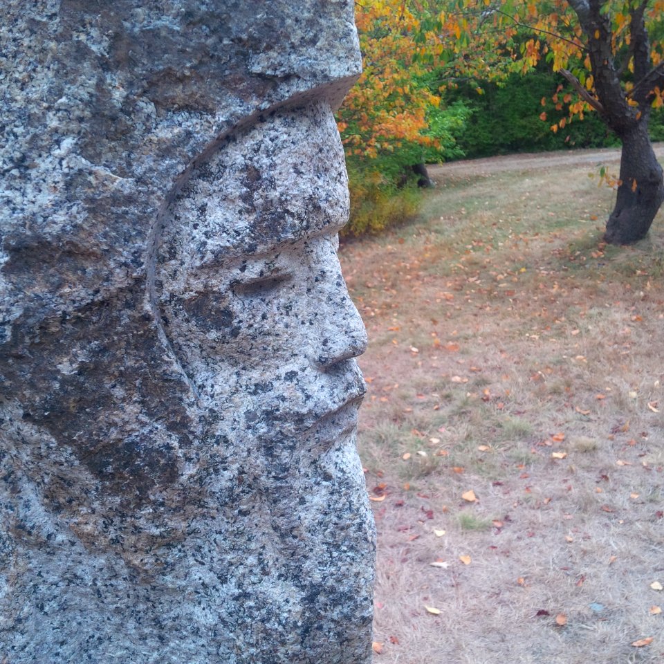 Rock, Wall, Tree, Bedrock photo