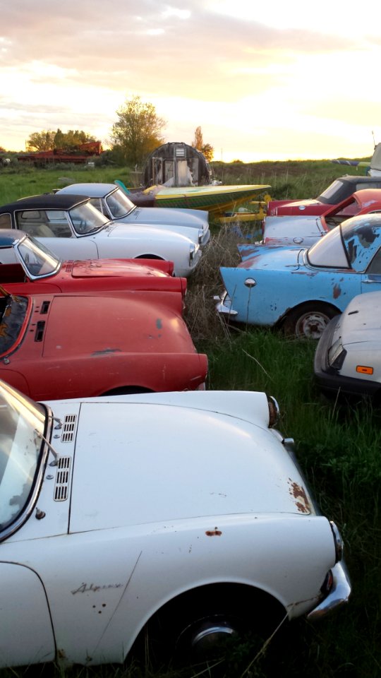 Car, Land Vehicle, Motor Vehicle, Vehicle