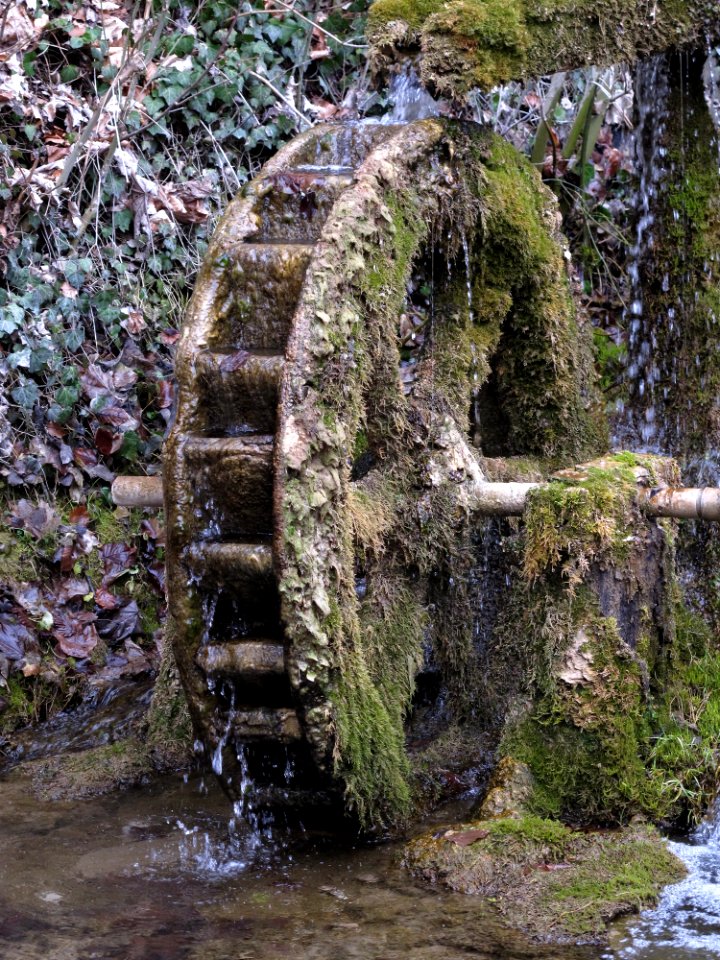 Water, Tree, Rock, Woodland