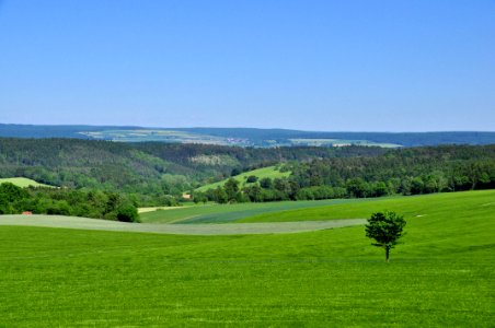 Grassland, Field, Sky, Pasture photo